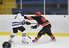 83D_006424 (72)